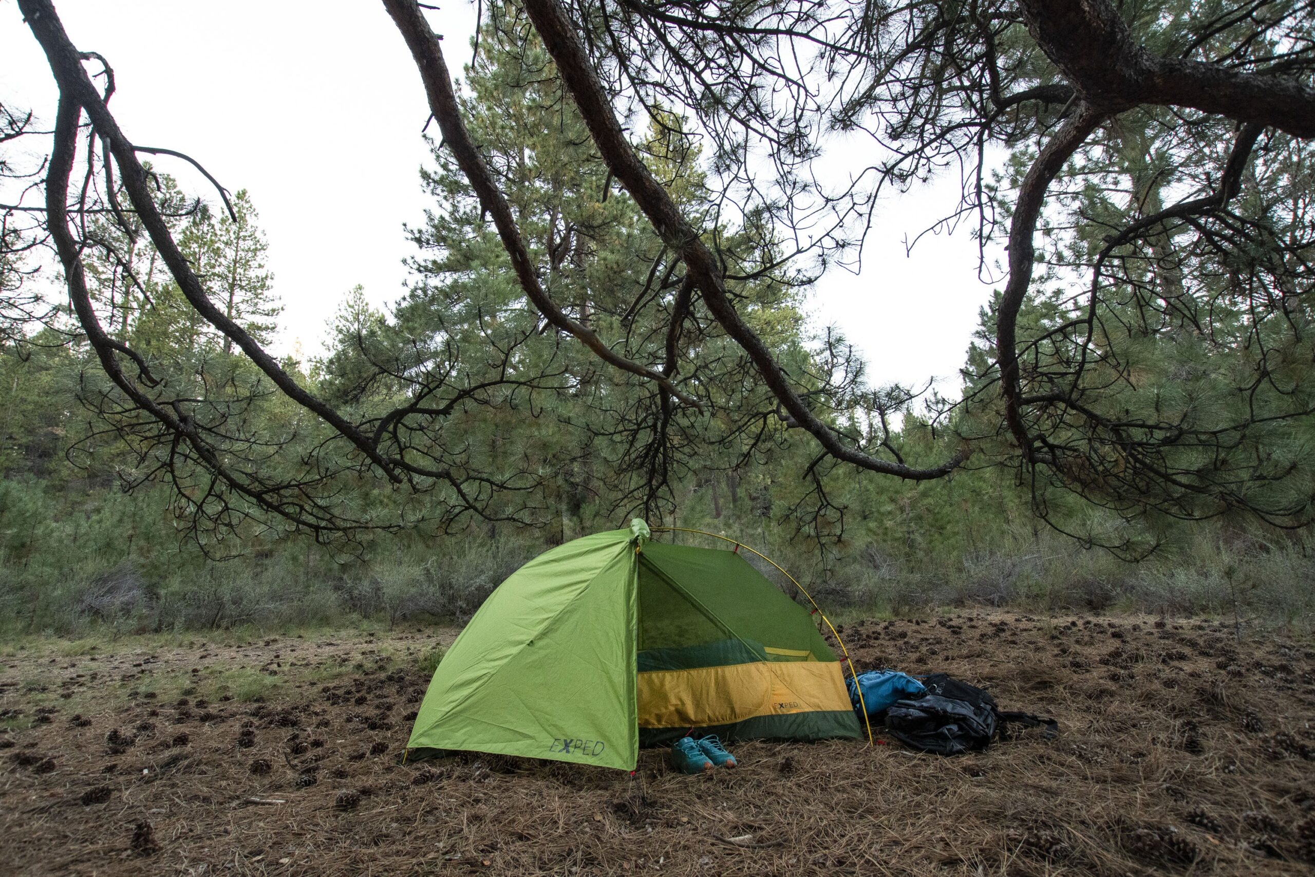 AU Camping Equipment Sales 2024 10 AU Camping Equipment Sales 2024 -AU Camping Equipment Sales 2024 Lyra Stargazers profile 1 scaled